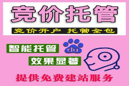 百度视频广告投放技巧：案例分享成功经验